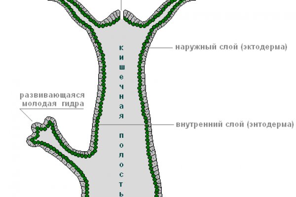 Кракен сайт krk market com
