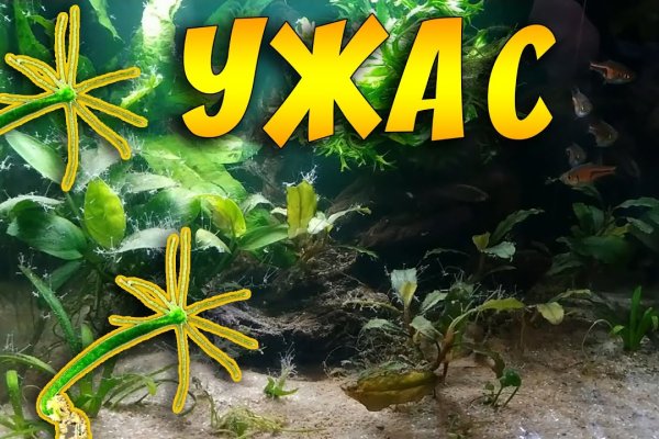 Kraken зеркало kraken dark link