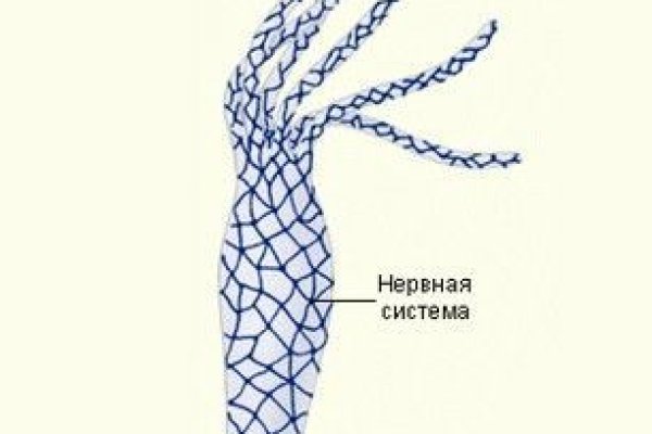 Кракен вход krakens13 at