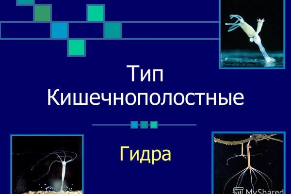 Кракен маркет даркнет тор