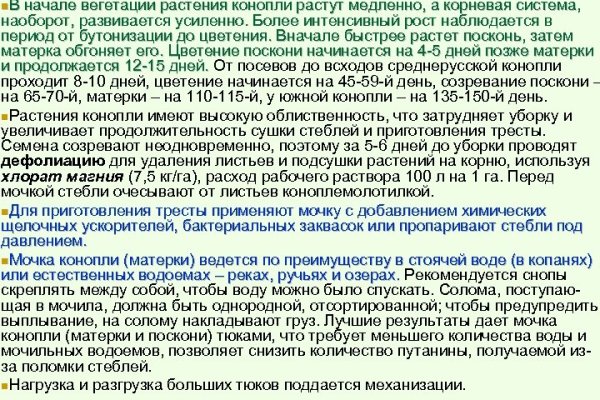 Как найти kraken