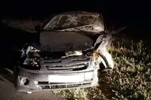 Кракен зеркало рабочее на сегодня